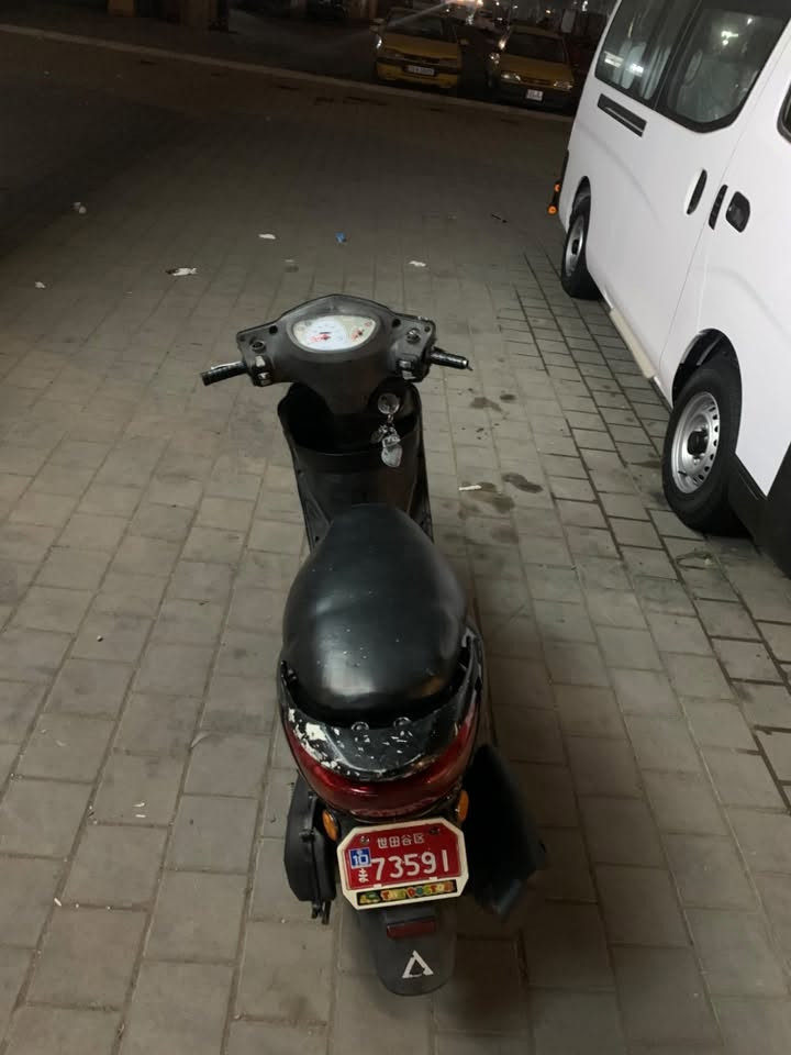 بغبغا • كهربائيات • بطارية تعبان