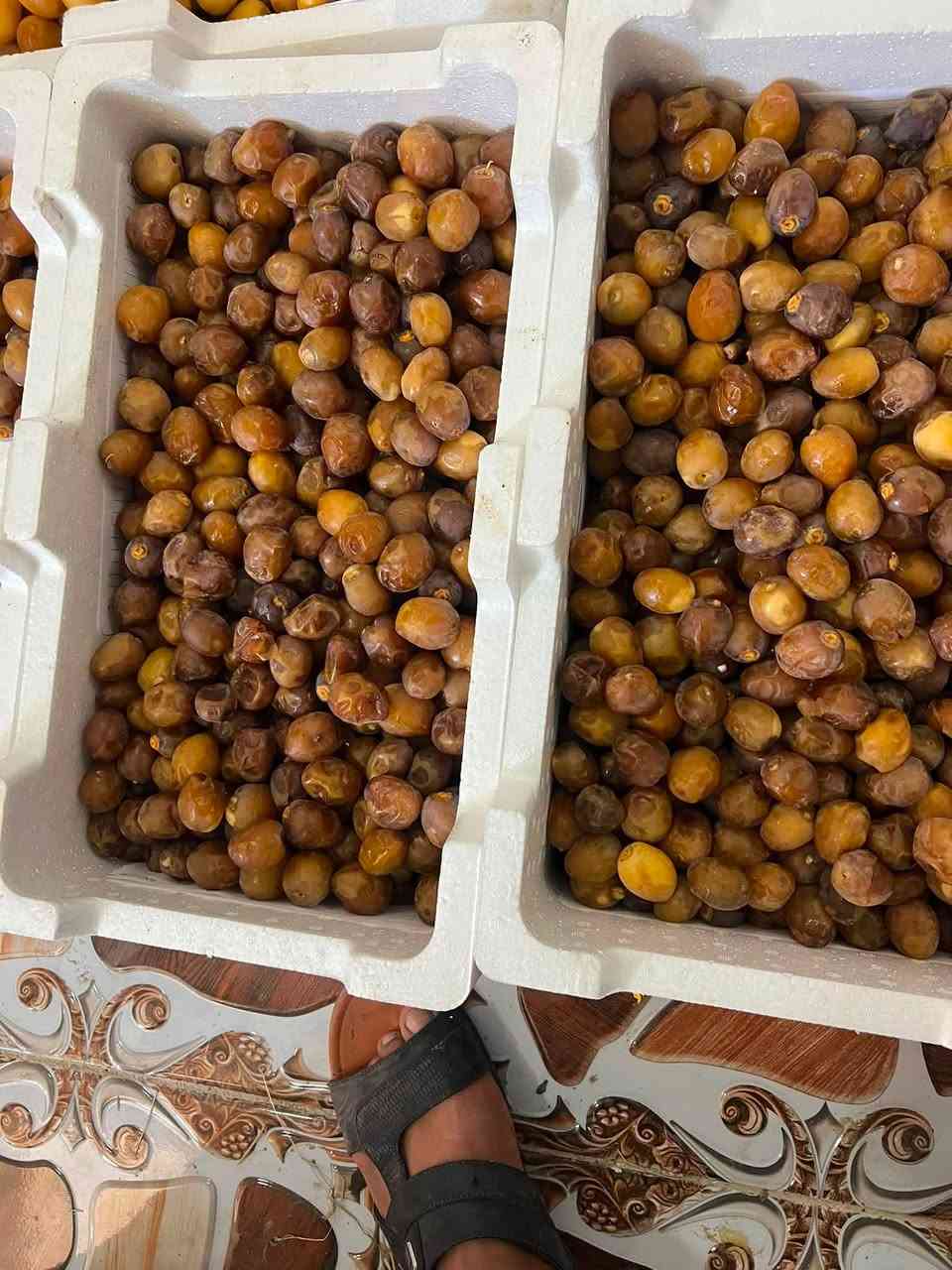 برحي • درجه أولى • توصيل