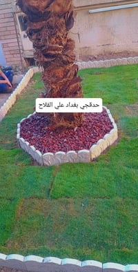 بستنة • الشغل غير • علي الفلاح