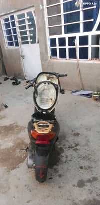 عصفورية • نقوصات • شغاله