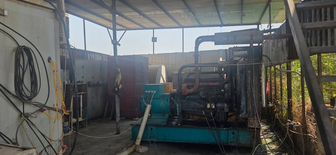 موالدة للبيع ***********
موقع بغداد السريدات
