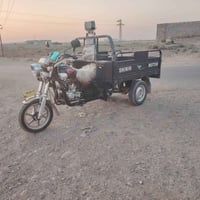 ستوته • شاخوان • ٢٠٢٥