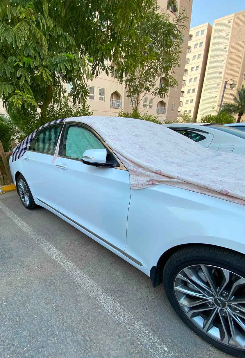 جينسز خليجي للبيع
موديل 15 فول مواصفات 

قطعتين صبغ بنيد وجاملغ (صبغ فقط بدون دواخل)

ماشيه 163 كيلو 

رقم أربيل بأسمي 

محرك مفتوح 

مكاني بغداد 

💵💵💵سعر 150 قفللللللل 💵💵💵

ملاحظة*

سيارة للبيع فقط ماراوس مامتواجد عل إنترنيت 

رقمي ***********
