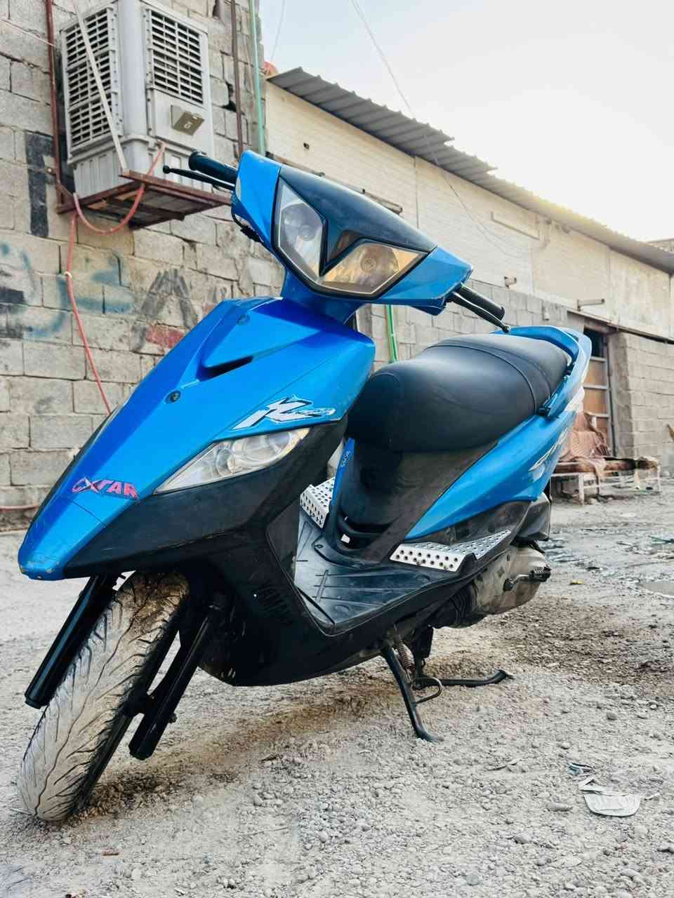 ثعلب • واتساب • قبل اسبوع