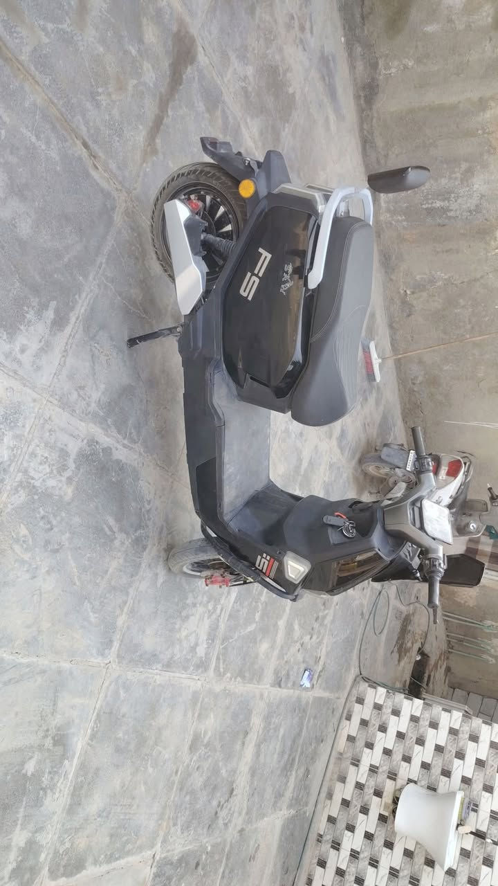 دراجة شحن • طراز FS • الرميثه