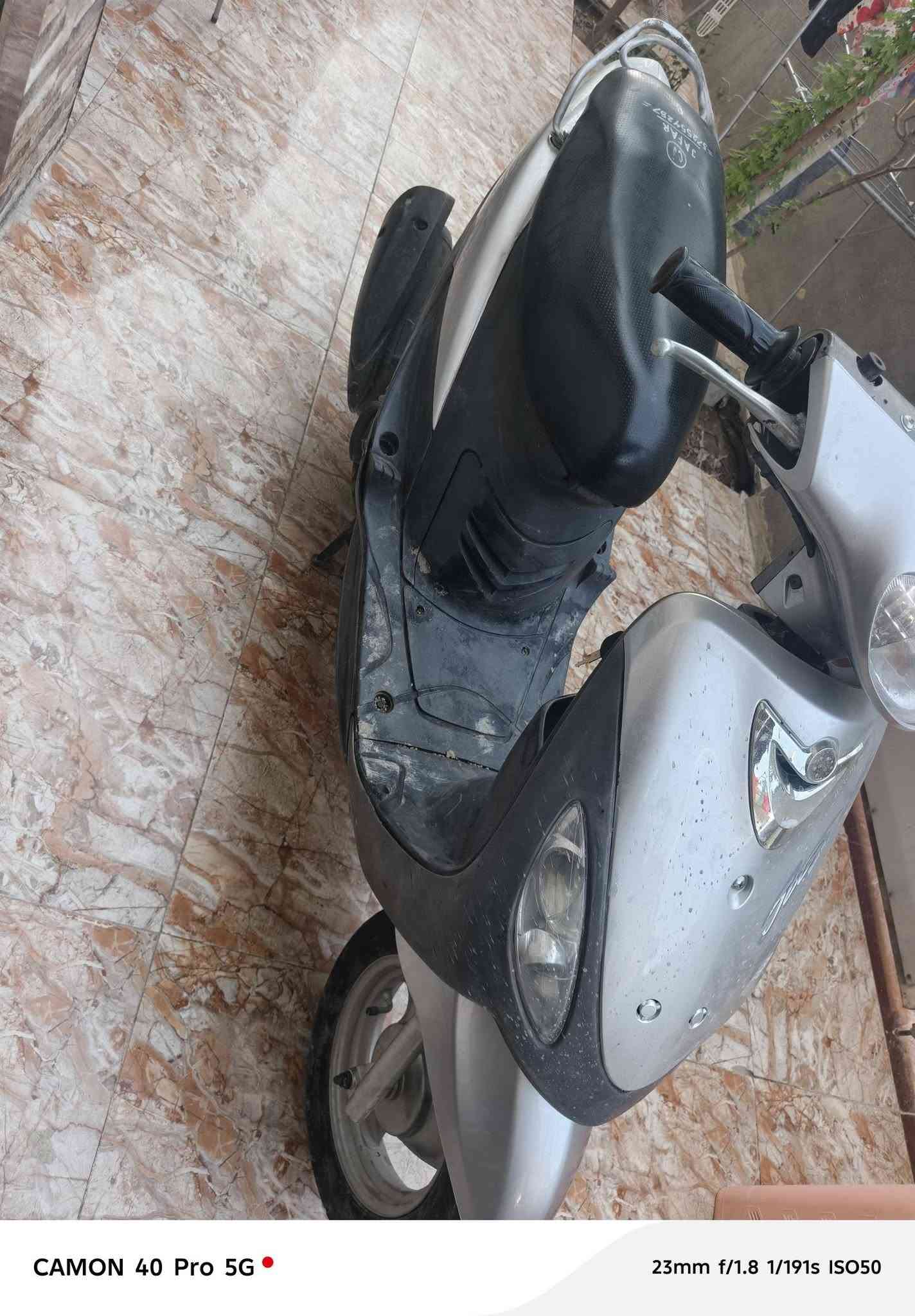 قجمه • عدله • مكفولات