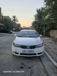 ٢٠١٣ • سنوية ٢٠٢٧ • بدون صبغ