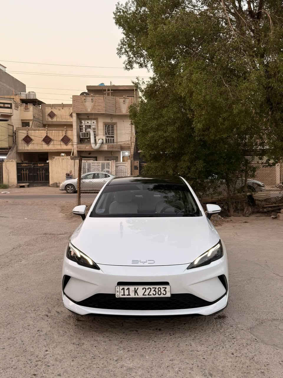 سيل 5 • ٢٠٢٥ • ماشية ١٦ الف