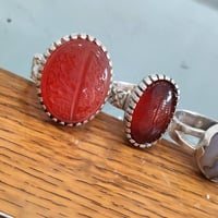 توصيل • جملة ومفرد • اسعار