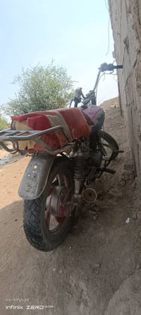 جونده • بدون اوراق • تجفيت