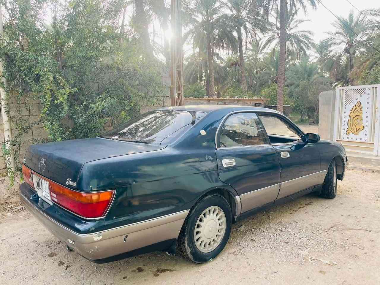 بطة • الأسود مراوس • حديثة