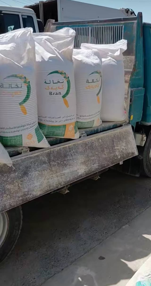 عمال تصعيد • جص ورمل • تنظيف