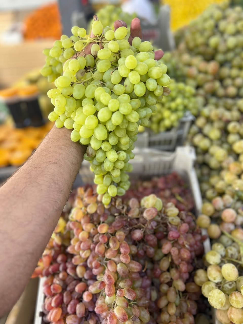 عروض الجمعة • خضرة وفواكه • توصيل واتساب