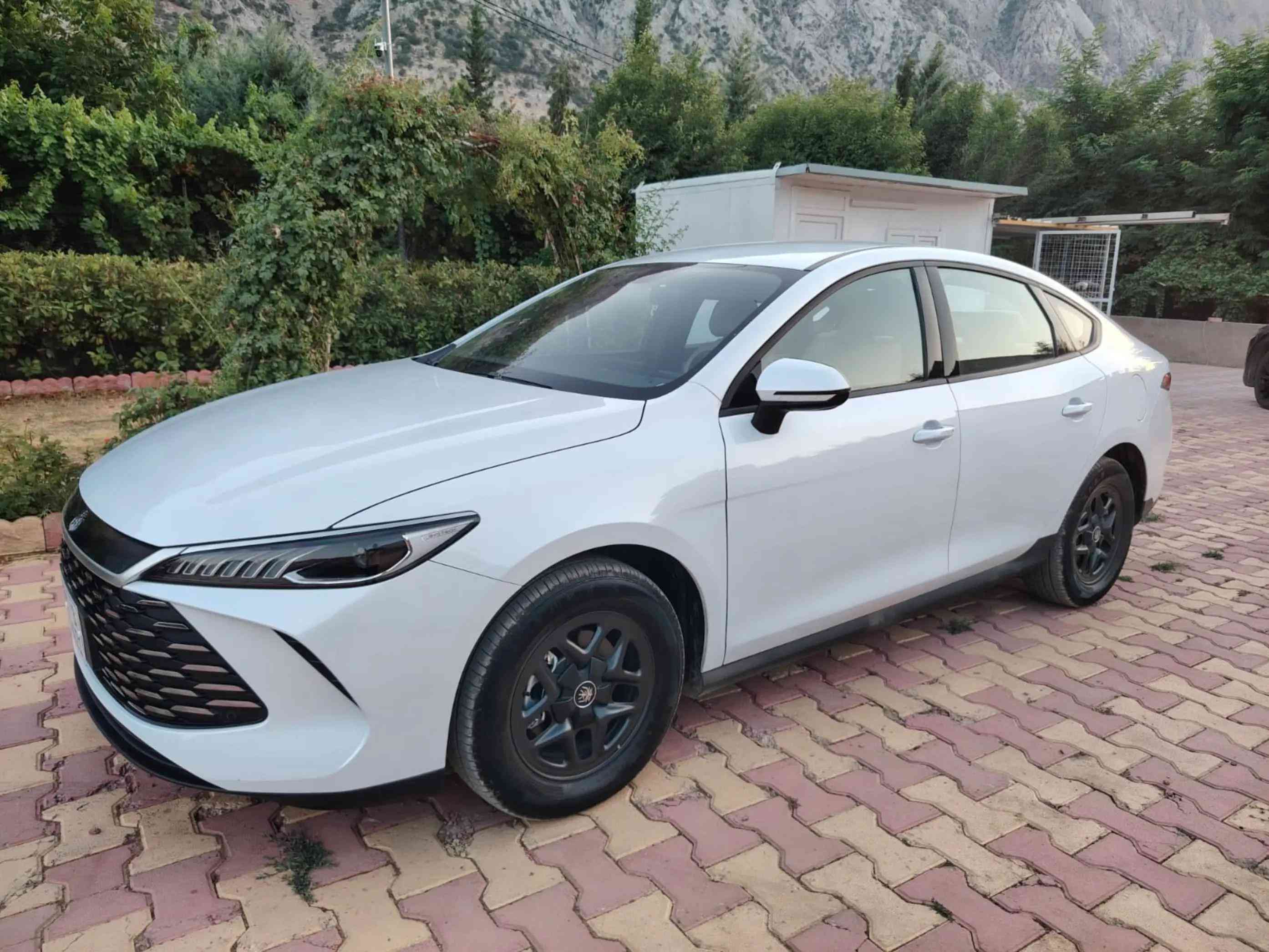 ـBYD ـ2025 بی بۆیاخ مواصفات   ئاوینە ئیشارات ،  ناو سپی ،  کوشن جلد ، گیچ ئەلیکترۆنی ، سوکان ڤۆلیوم ، سوکان تەلفون ، کامیرە ، حاسە ، لایت لید ، ویل کڕۆم ، دەسک بصمە ، بگ لایت لید ، دوای حاسە  ـ6.000 Km بۆ زانیاری زیاتر کۆمینت یان پەیوەندی بکە ☎️.  ***********📞 *********** 📞  ناونیشان سلیمانی شەقامی مەلیک محمود  Salahaddin Auto — معرض صلاح الدین  https://maps.app.goo.gl/GTqjTbohj8BvP
