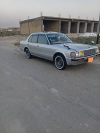 ارنب كصيف • مكفوله • رقم واسط