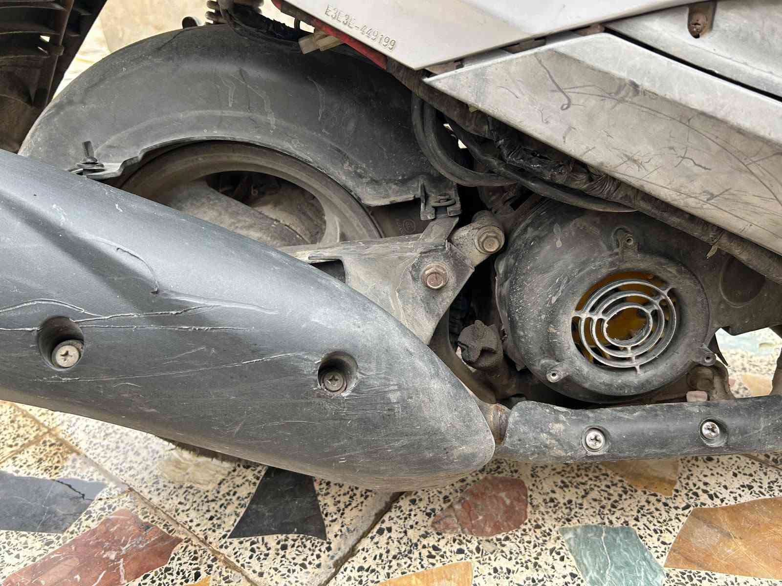 بريز ببغاء نوزل • ٢٠١١ • ١٢٥
