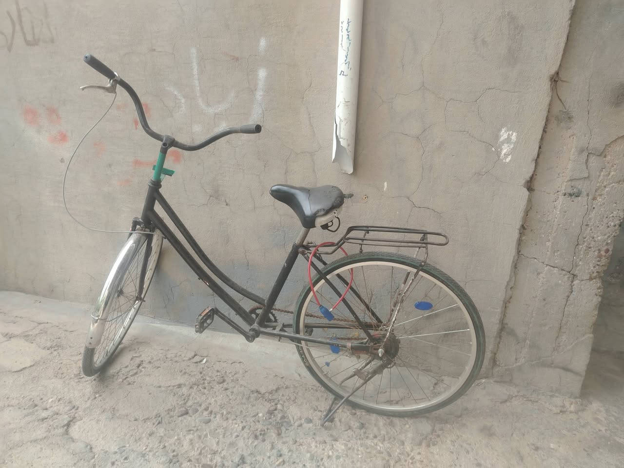 باسكل • فلوجه الجولان • دسك