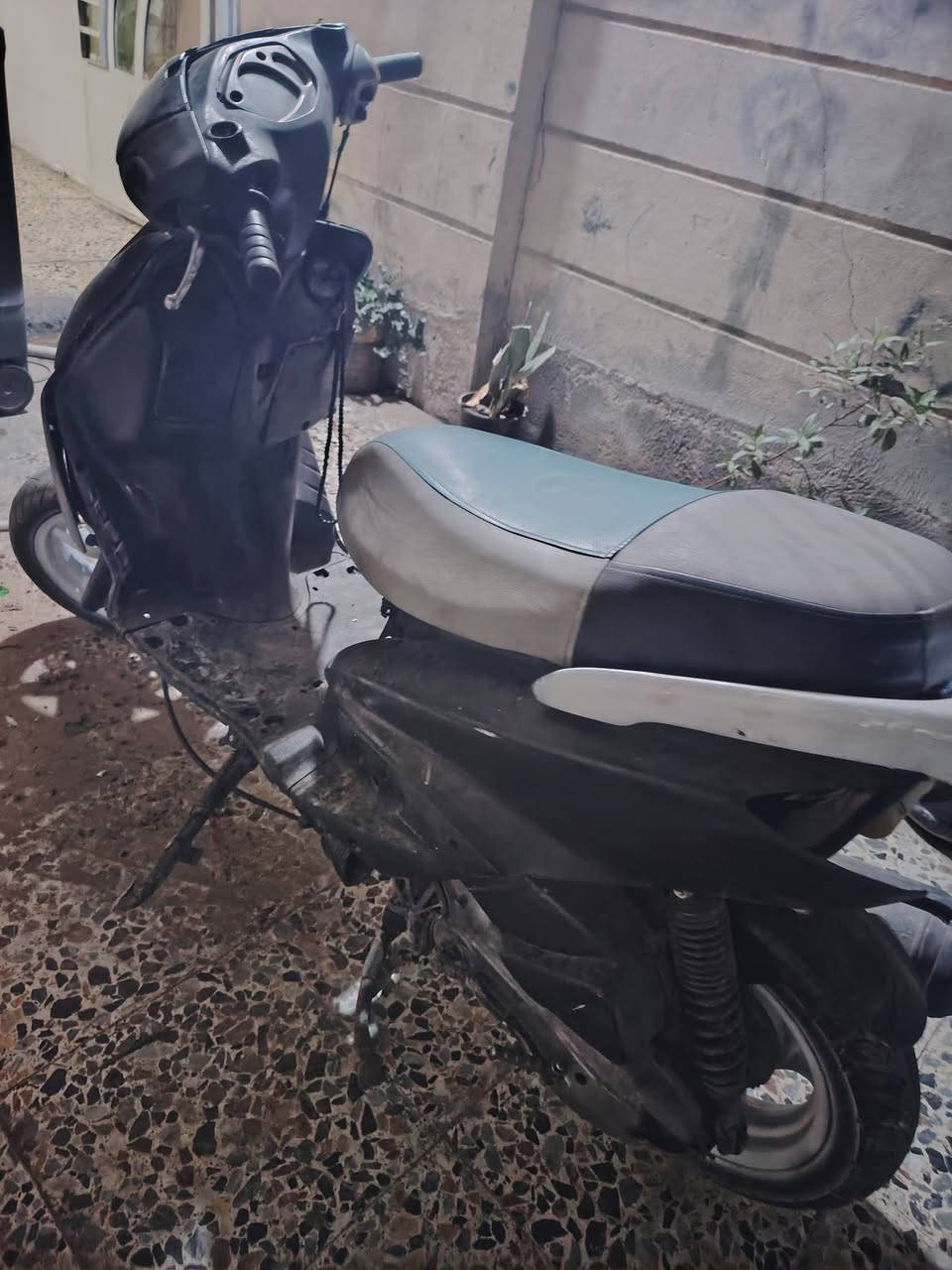 سكنس نثيه • ١٤٠ • طافيه