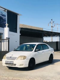 كورلا نحله • ٢٠٠٤ • سنوّية ٢٠٢٩
