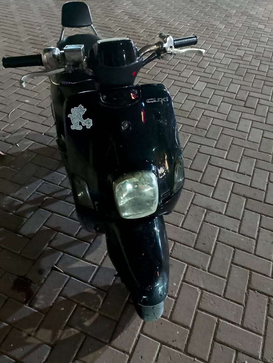 بوليس • نضيفه • زينون