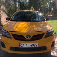كورلا امريكي • ٢٠١٠