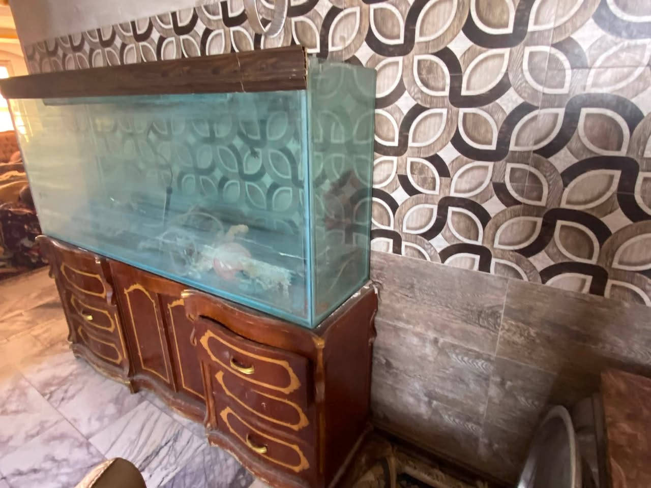 حوض للأسماك كبير 
180x77x39 cm
100 الف دينار
رقم الموبايل
***********
قرب باب بغداد
