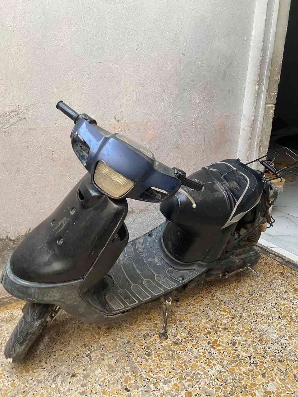 بطه • شغاله • نجف