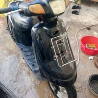 بطه • شغاله • ترتيب