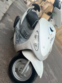 ماكس منغولي • مرخصة • ٤٩