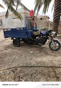 ستوته • ٢٠٠ • اوراق اصولي