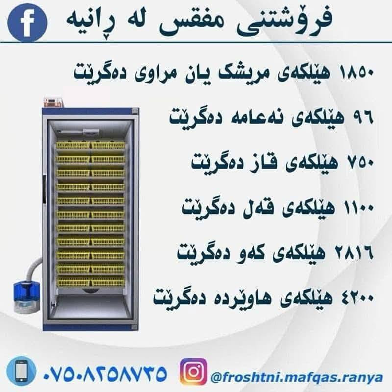 سڵاو لەبەخێووکەرانی پەلەوەر🐣
‏ٸەم جارە هاتینەوە لاتان بە باشترین جۆری 
‏مفقس 
‏بە باشترین کوالێتی و هەرزان ترین نرخ
‏زەمانی  12مانگ کارەبایی
‏ کە سیستەمی پلەی گەرمی و ڕادەی شێی و سوڕانی هێلکەی فول اۆتۆماتیکە✅
‏جەستەیەکی pvcهەیە کە دەتوانرێت بشۆردرێت
‏یەکسانی پلەی گەرمی لە سەرانسەری ٸامێرەکەدا
‏پێک هاتوە لە عەدەدی
 1850هێلکەی
 588هێلکەی
‏    بۆ زانیاری زیاتر پەیوەندیمان پێوە بکە
‏*********** 📲
‏*********** 📲
‏
