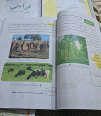 كتب • صف ثالث • كاملات