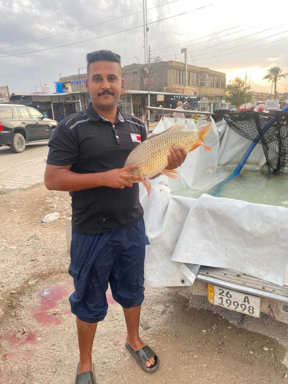 سمك قفص • درجة اولى • جملة ومفرد