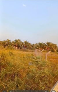 بالعكايه • ١٠٠٠م • سند ٢٥