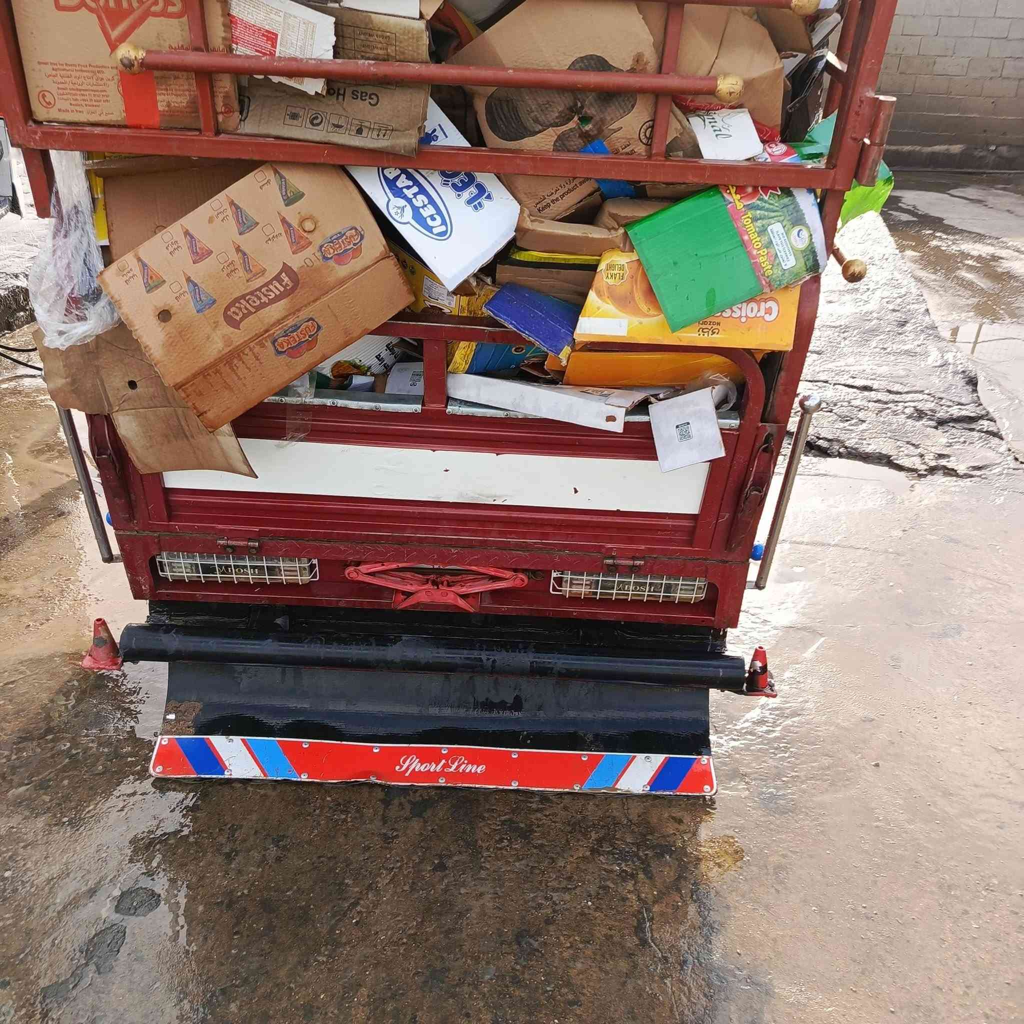 ستوته • ٢٠٢٣ • بدون محجل