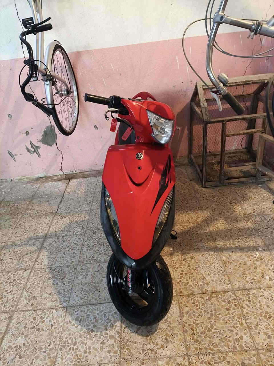 سلام عليكم ماكس للبيع 49بلاد مامفتوحه الاستفسار الاتصال على الرقم ***********
