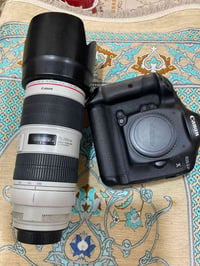 كانون 1DX • عدسه 70-200 • بابل