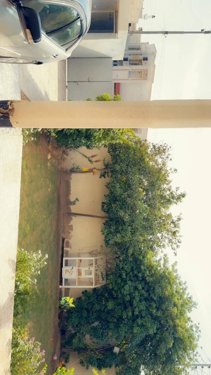 الرمادي • طابو زراعي • ٣٩٠م