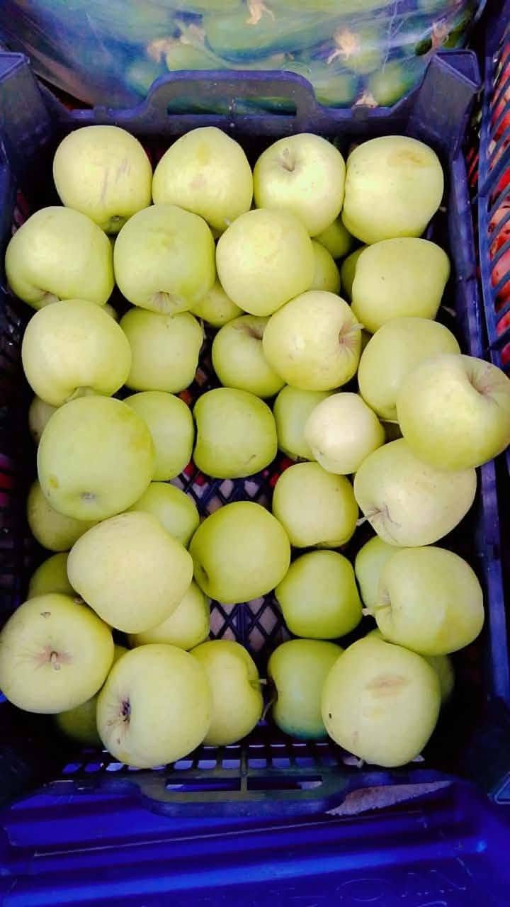 خيار • بطيخة ناعمة • تمر ورمان