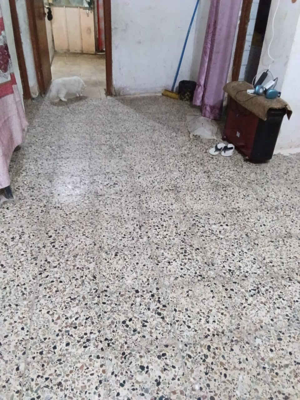 السلام عليكم
🏡 بيت للبيع – شارع الكص / شارع المؤمنين
📍 العنوان: شارع الكص – شارع المؤمنين
📐 المساحة: 167 متر مربع
🏠 طابقان
🧱 بناء كونكريت قديم
🚪 مدخلان: باب على الشارع وباب على الدربونة، مما يمنح العقار ميزة إضافية وسهولة في الاستخدام.

🔹 تفاصيل الطابق الأول:

طارمة

صالة

استقبال

هول

مطبخ

غرفة نوم واحدة

مجمع صحيات

مناور يحيط بالبيت

🔹 تفاصيل الطابق الثاني:

صالة

غرفتا نوم

سطحان

✅ موقع جيد وقريب من الخدمات، مناسب للسكن أو الاستثمار.

📞 للاستفسار والمعاينة: ***********
