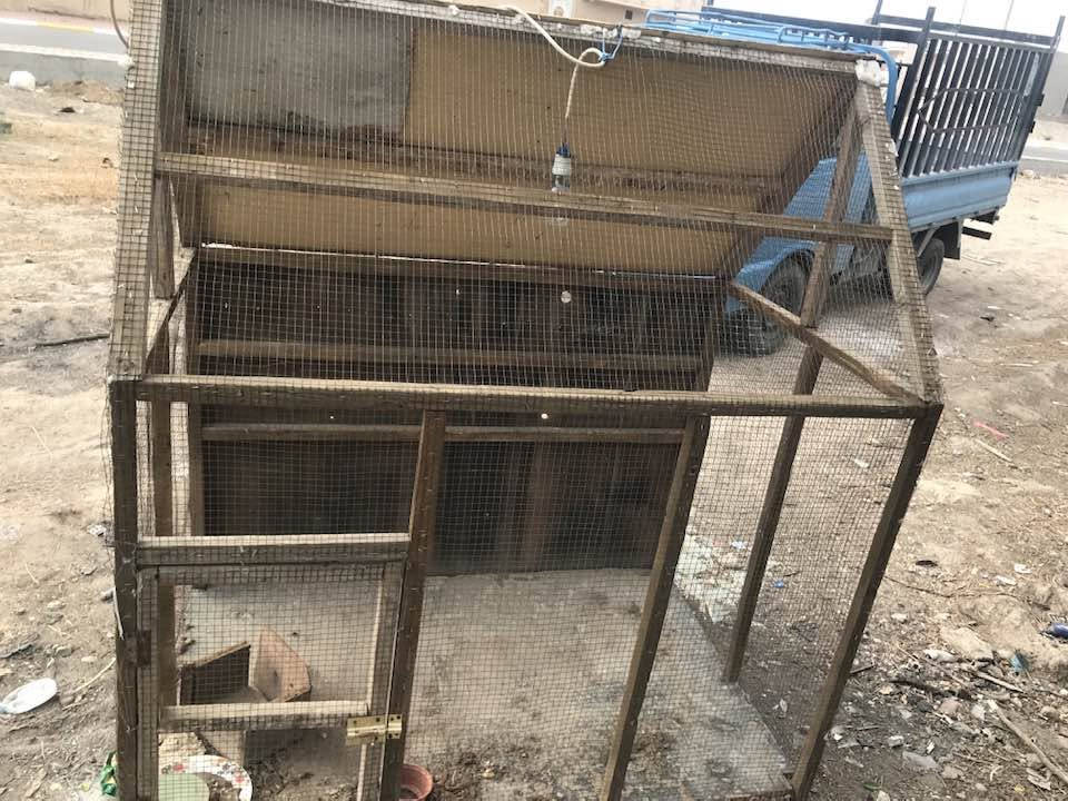 قفاص • تكريت