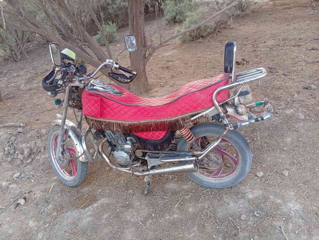 جونده • سرقة • ٢٠٢١