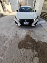 التيما • ٢٠٢٥ • ضرر