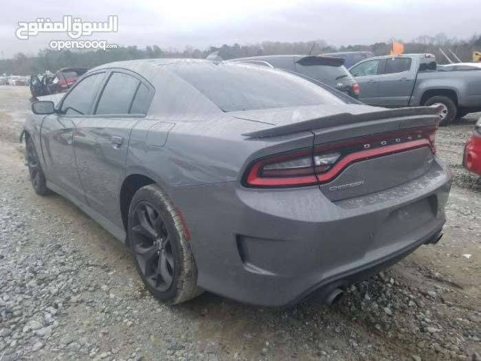 19 GT للبيع ومراوس حسب الرغبه بسمي رقم بغداد ***********

نص مكتوب في الصور:
- السوق المفتوح opensooq.com
- المنتوح opensooq.com