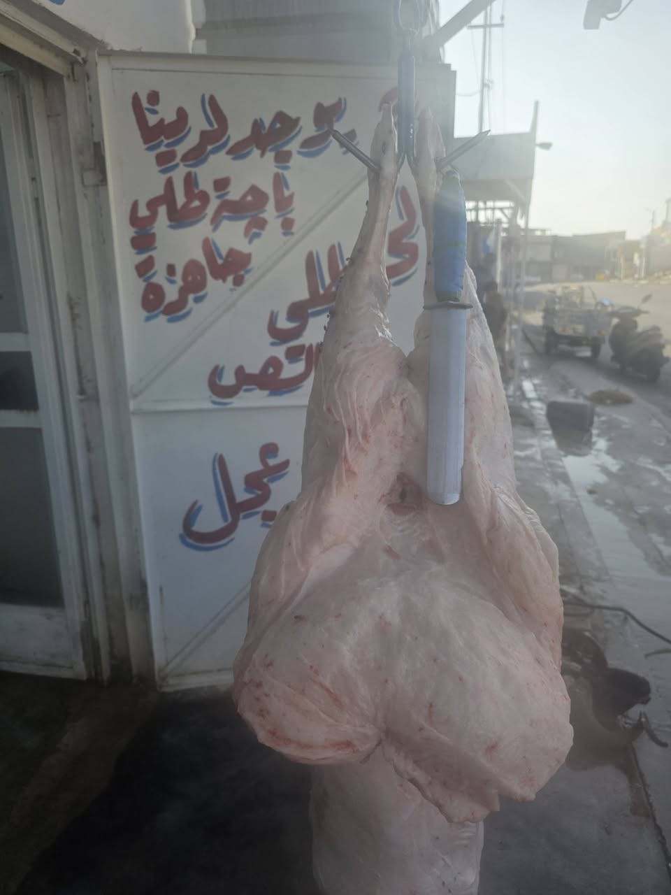 قصابة الشمري • لحم طلي • سوق الحقلانيه