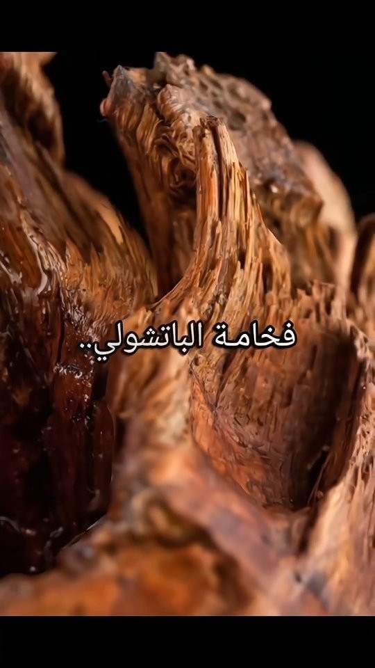آيات • برغموت • باتشولي