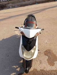 سكنس فحل • ياباني • نضيفه