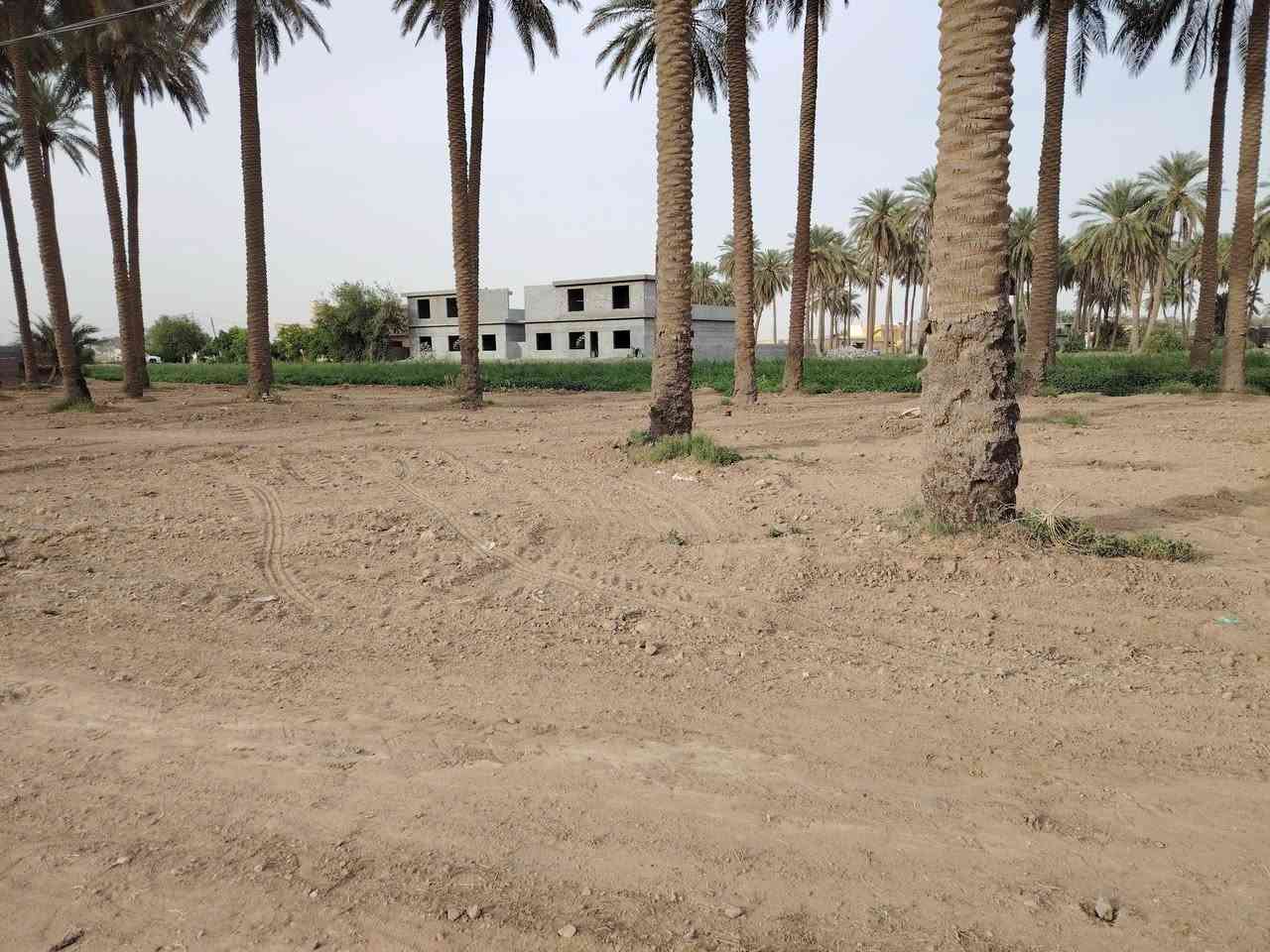 سلام عليكم عندي دونم للبيع بغداد اليوسفيه القصر الاوسط حي ربيع مخازن أحمد ألانباري سند 25 بسمي تحتوي مباشروبيهه ما ساله كهرباء شارع تبليط بيها نخل 20 نخل و مشروع رواي مي لكبير السعر خاص *********** السعر
