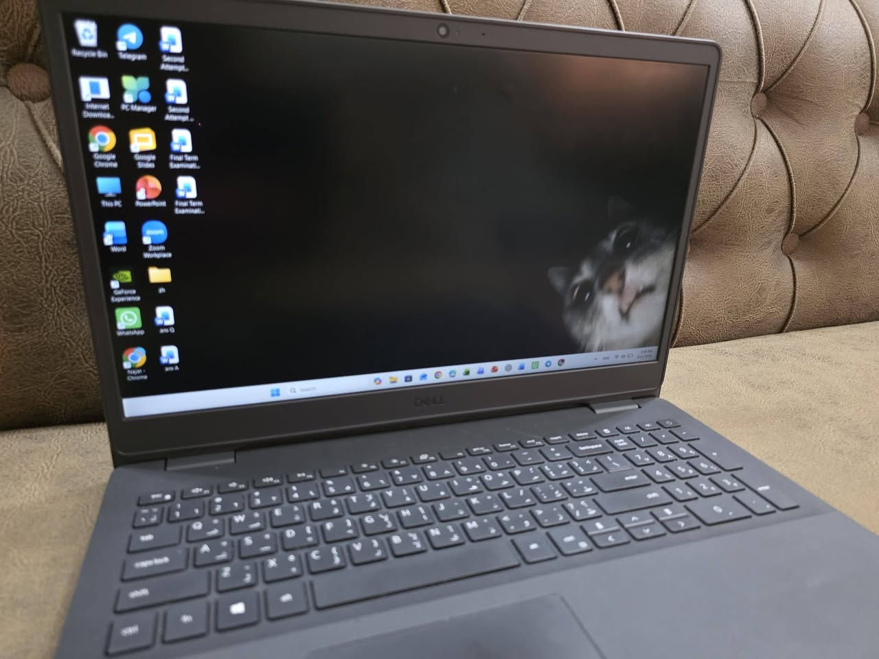 للبيع لابتوب Dell Vostro 3500 بحالة ممتازة
الموديل: Dell Vostro 15 3500
المعالج (CPU): Intel Core i7-1165G7 (الجيل الحادي عشر - 11th Gen)
الذاكرة العشوائية (RAM): 8GB DDR4
التخزين (SSD): 256GB SSD (سريع جداً في الإقلاع والفتح)
الشاشة: 15.6 بوصة Full HD WVA
نظام التشغيل: Windows 11 Pro
المنافذ والمميزات:
مع كامل الملحقات باكيته + الشاحن الاصلي
منفذ HDMI
قارئ كروت الذاكرة SD Card Reader
كاميرا ويب HD Webcam
كيبورد مقاوم للانسكاب (Spill-Resistant Keyboard)
ملاحظة: الجهاز نظيف جداً ومستعمل استعمال شخصي.
السعر 500 الف 
للتواصل *********** واتساب
العنوان : البصرة
