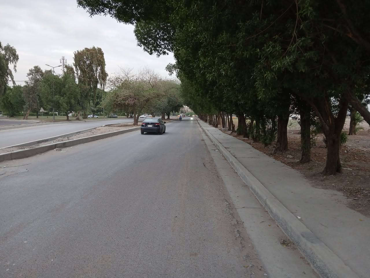 مدينة الكاظمية • ٢١٧م • واجهة ١٢ ونص